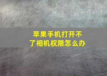 苹果手机打开不了相机权限怎么办