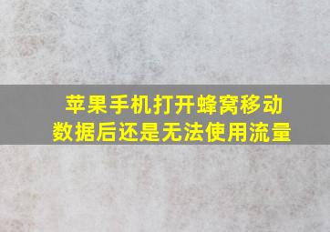 苹果手机打开蜂窝移动数据后还是无法使用流量