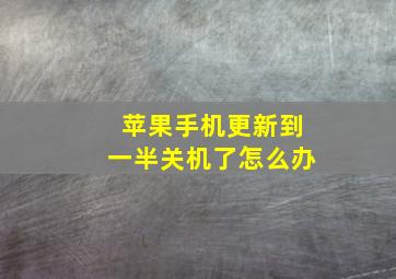 苹果手机更新到一半关机了怎么办