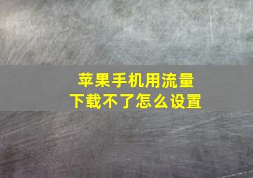 苹果手机用流量下载不了怎么设置