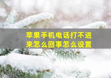 苹果手机电话打不进来怎么回事怎么设置