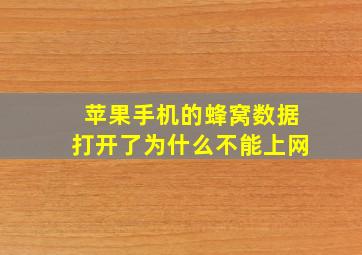 苹果手机的蜂窝数据打开了为什么不能上网