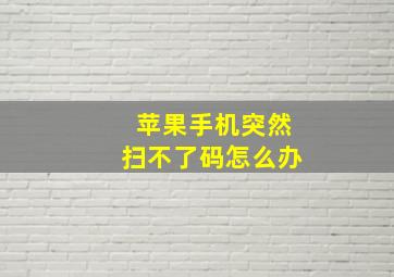 苹果手机突然扫不了码怎么办