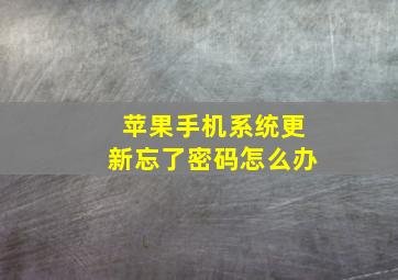 苹果手机系统更新忘了密码怎么办