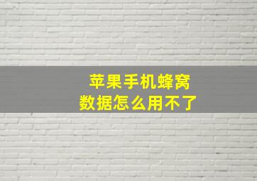 苹果手机蜂窝数据怎么用不了