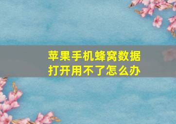 苹果手机蜂窝数据打开用不了怎么办