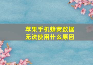 苹果手机蜂窝数据无法使用什么原因