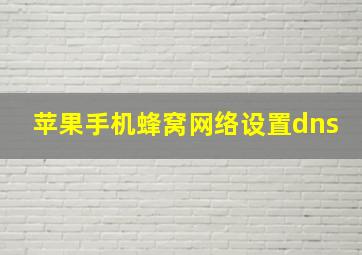 苹果手机蜂窝网络设置dns