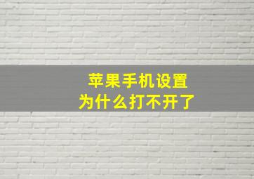 苹果手机设置为什么打不开了