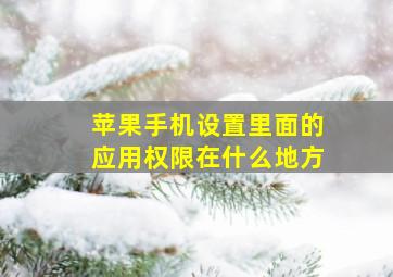 苹果手机设置里面的应用权限在什么地方