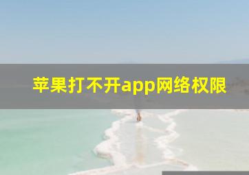 苹果打不开app网络权限