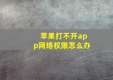 苹果打不开app网络权限怎么办