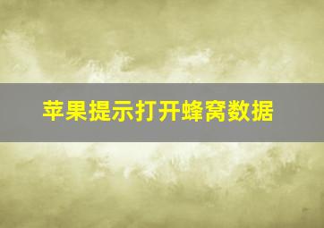 苹果提示打开蜂窝数据