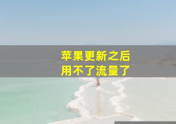 苹果更新之后用不了流量了