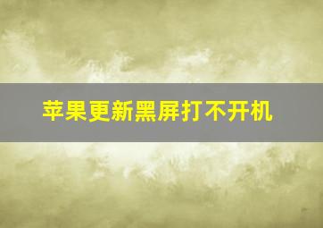 苹果更新黑屏打不开机