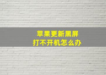 苹果更新黑屏打不开机怎么办