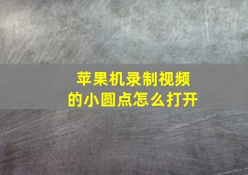 苹果机录制视频的小圆点怎么打开