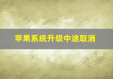 苹果系统升级中途取消