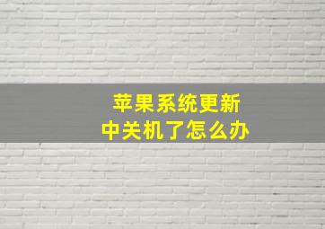 苹果系统更新中关机了怎么办