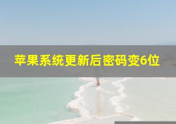 苹果系统更新后密码变6位