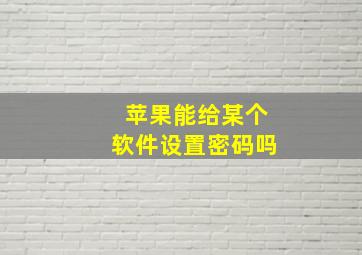 苹果能给某个软件设置密码吗