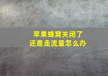 苹果蜂窝关闭了还是走流量怎么办