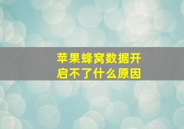 苹果蜂窝数据开启不了什么原因