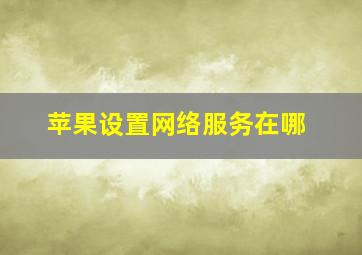 苹果设置网络服务在哪