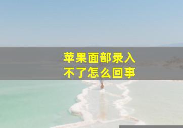 苹果面部录入不了怎么回事