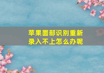 苹果面部识别重新录入不上怎么办呢