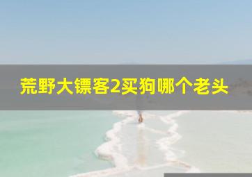 荒野大镖客2买狗哪个老头