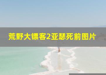 荒野大镖客2亚瑟死前图片