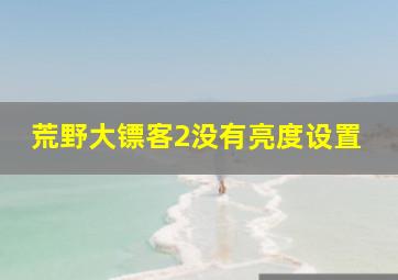 荒野大镖客2没有亮度设置