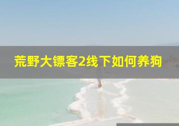 荒野大镖客2线下如何养狗