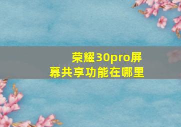 荣耀30pro屏幕共享功能在哪里