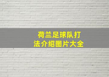 荷兰足球队打法介绍图片大全