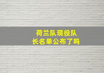 荷兰队现役队长名单公布了吗