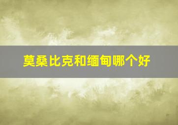 莫桑比克和缅甸哪个好