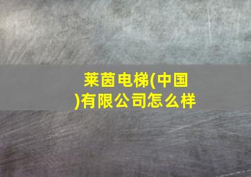 莱茵电梯(中国)有限公司怎么样