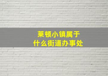 莱顿小镇属于什么街道办事处