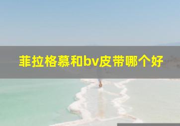 菲拉格慕和bv皮带哪个好