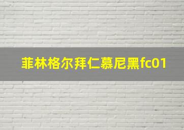 菲林格尔拜仁慕尼黑fc01