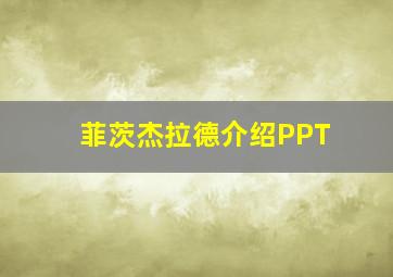 菲茨杰拉德介绍PPT