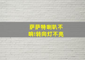 萨萨特喇叭不响!转向灯不亮