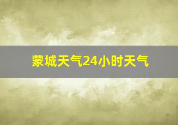 蒙城天气24小时天气