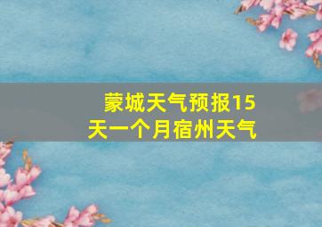 蒙城天气预报15天一个月宿州天气