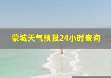 蒙城天气预报24小时查询