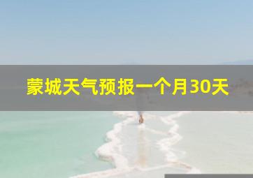 蒙城天气预报一个月30天