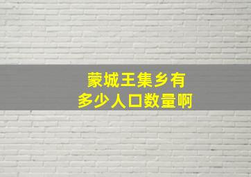 蒙城王集乡有多少人口数量啊