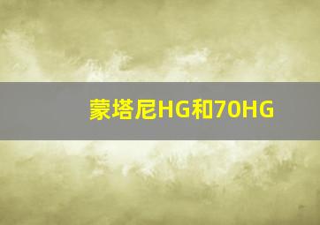 蒙塔尼HG和70HG